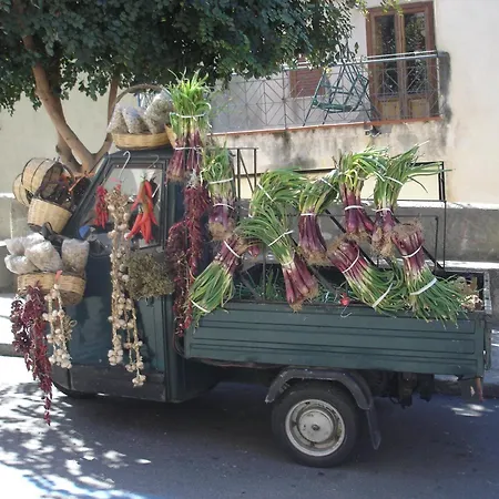 Del Conte * Santa Domenica (Vibo Valentia)