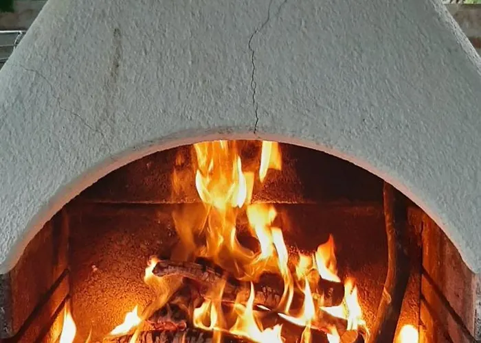 Del Conte 圣多米尼卡