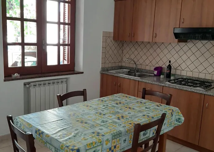 Del Conte * 圣多米尼卡